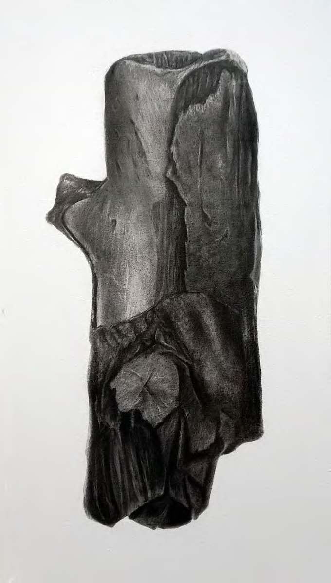 Charcoal on Canvas I