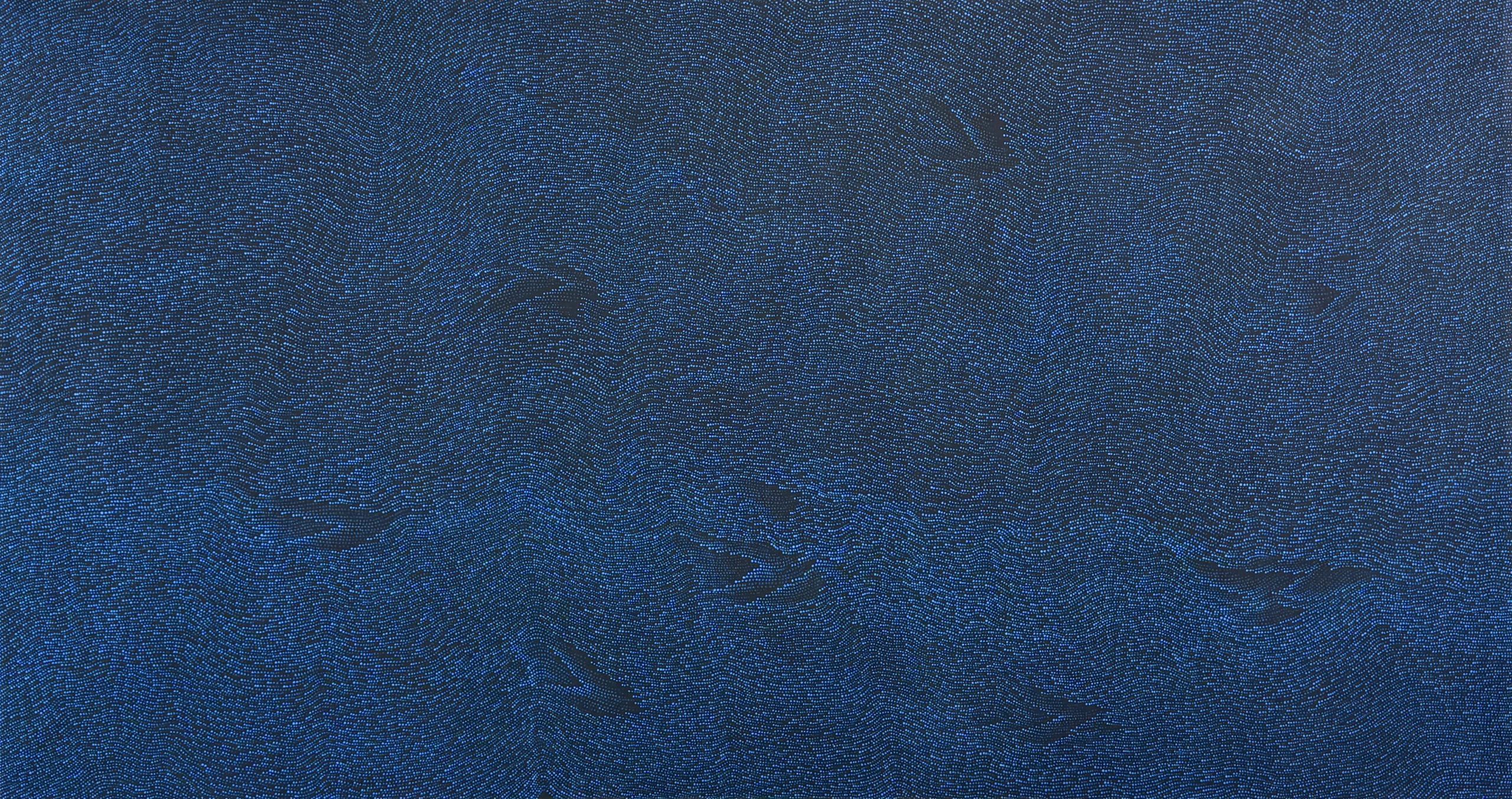 Untitled, 2026