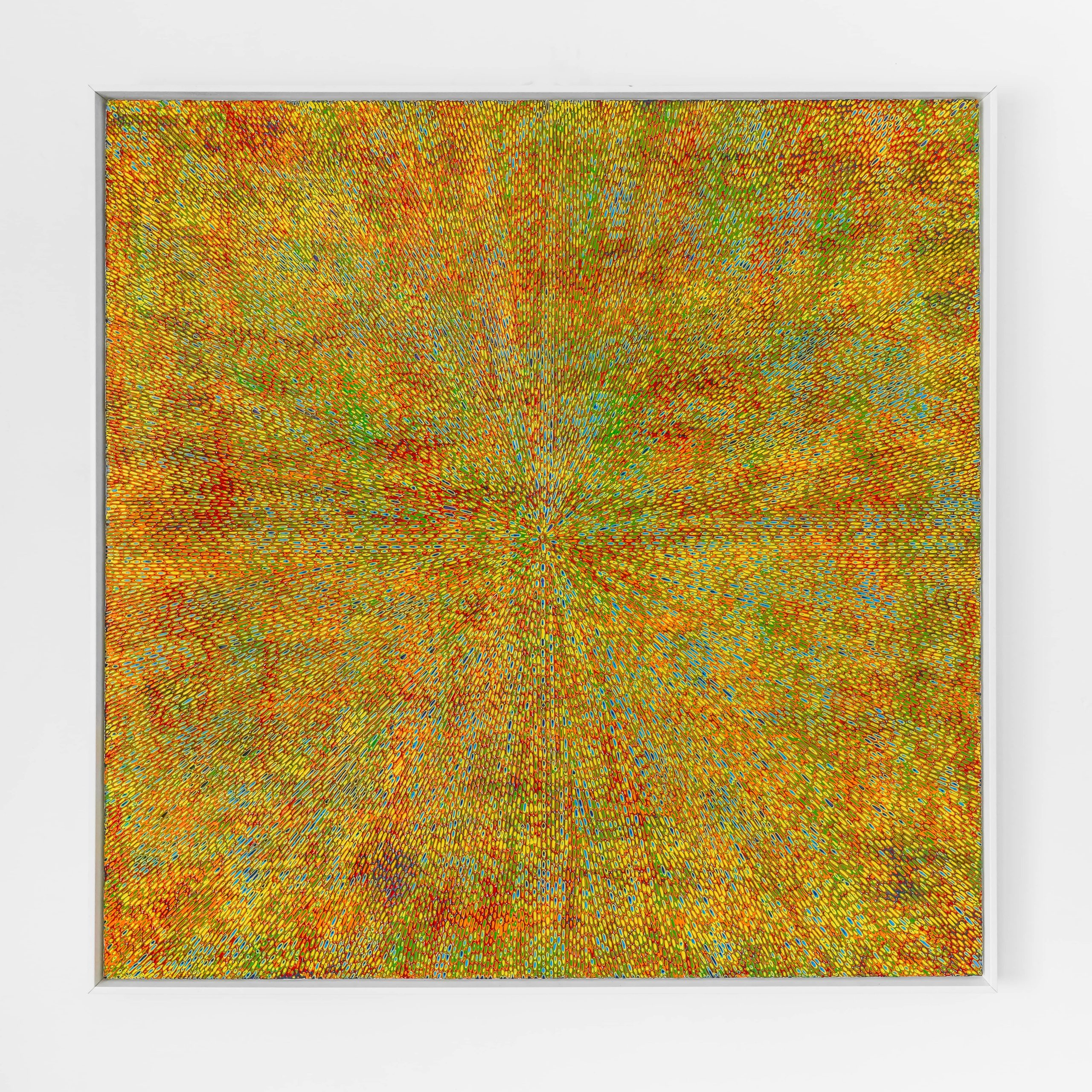 Search Of Rainbow