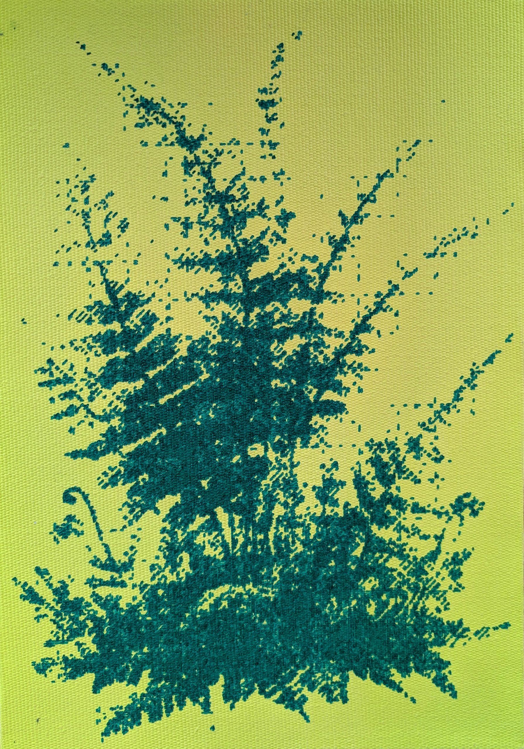 Wild Emergence