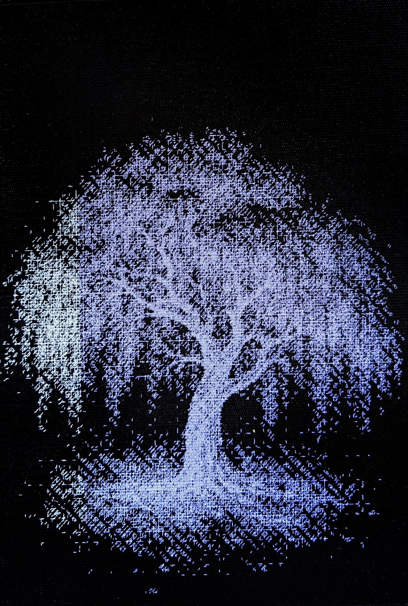 Tree of Light