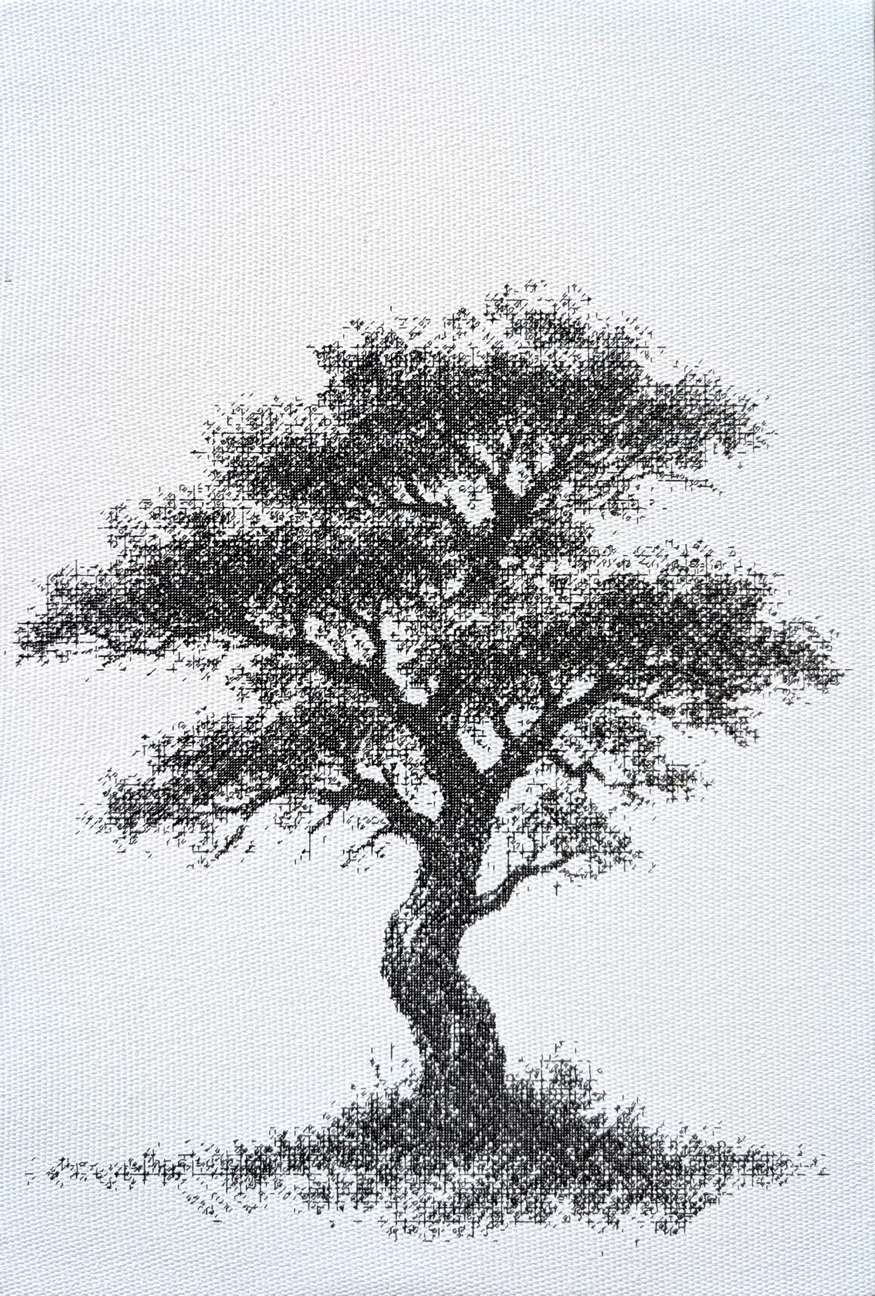 Ancient Tree