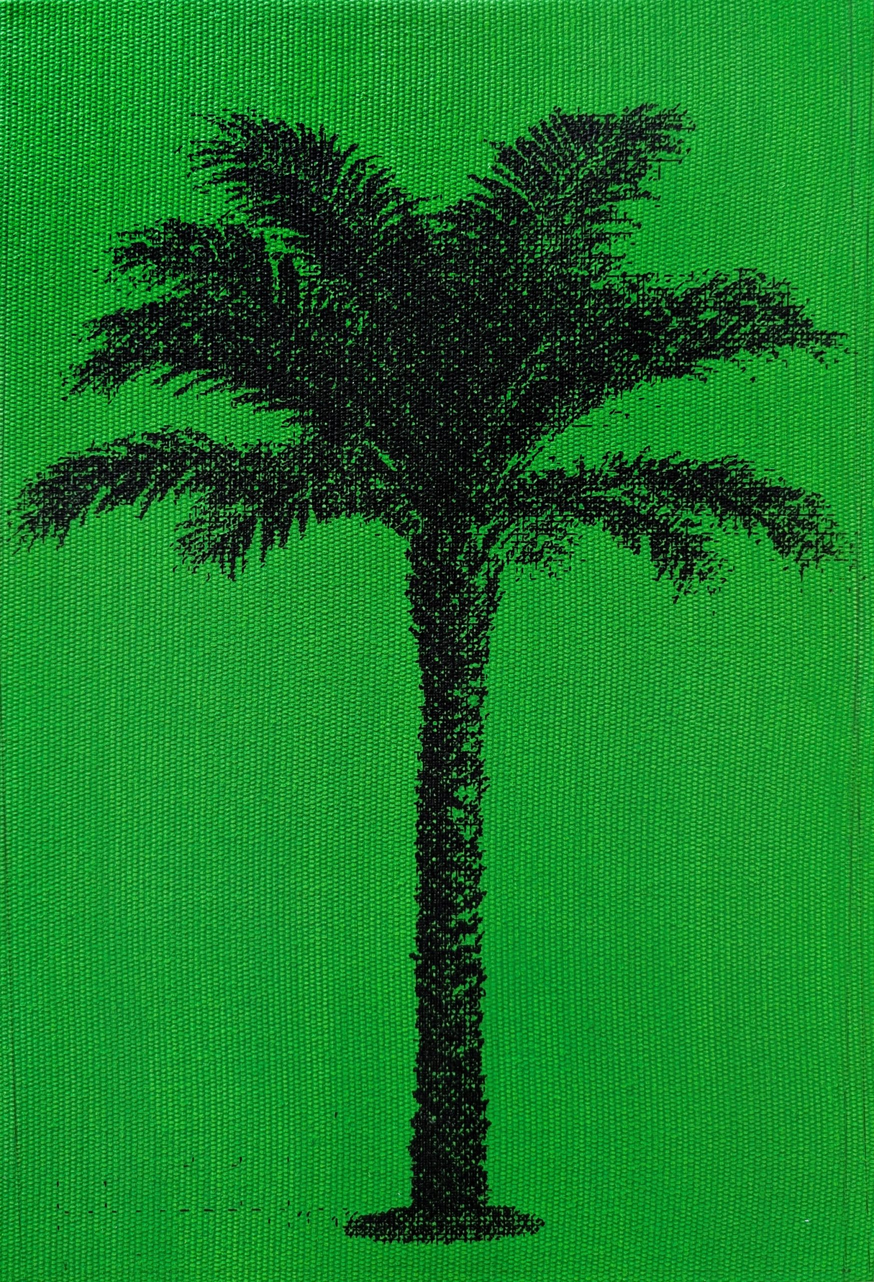 Desert Palm